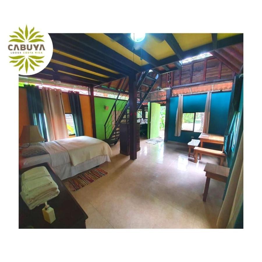 Cabuya Lodge Exteriér fotografie
