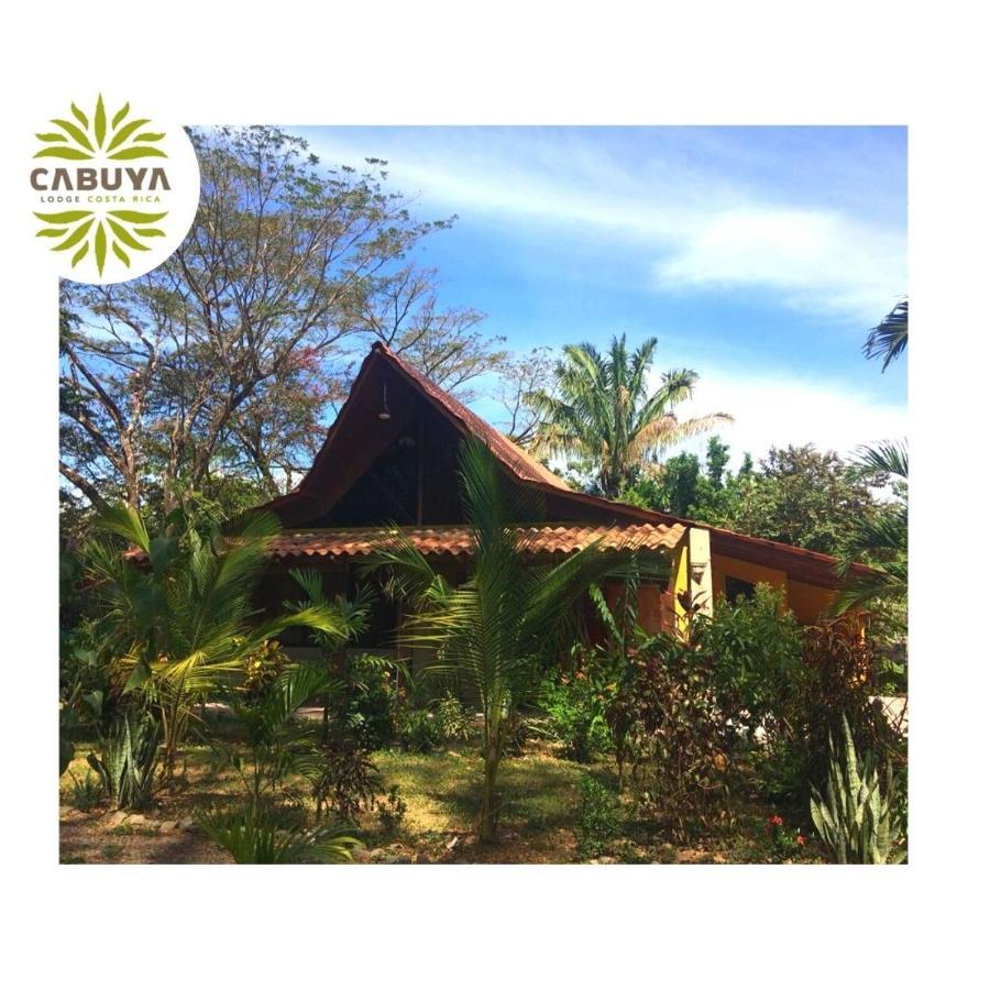 Cabuya Lodge Exteriér fotografie